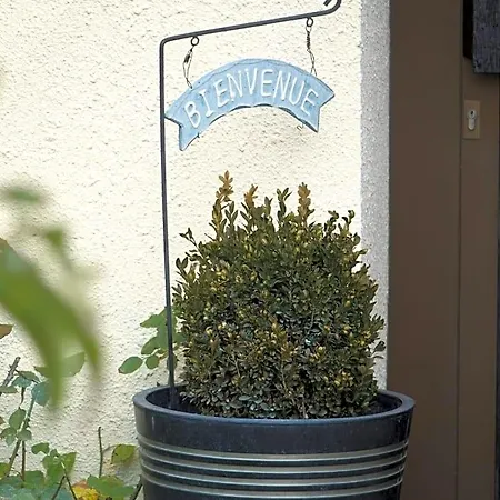 Le Patio Montigny-les-Metz