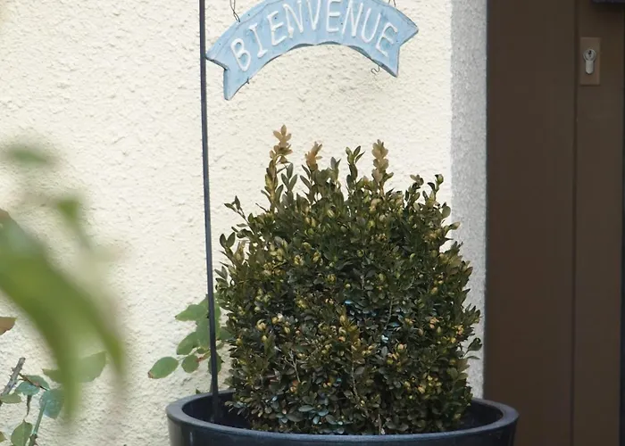 住宿加早餐酒店 Le Patio Montigny-les-Metz